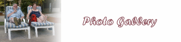Photo Gallery